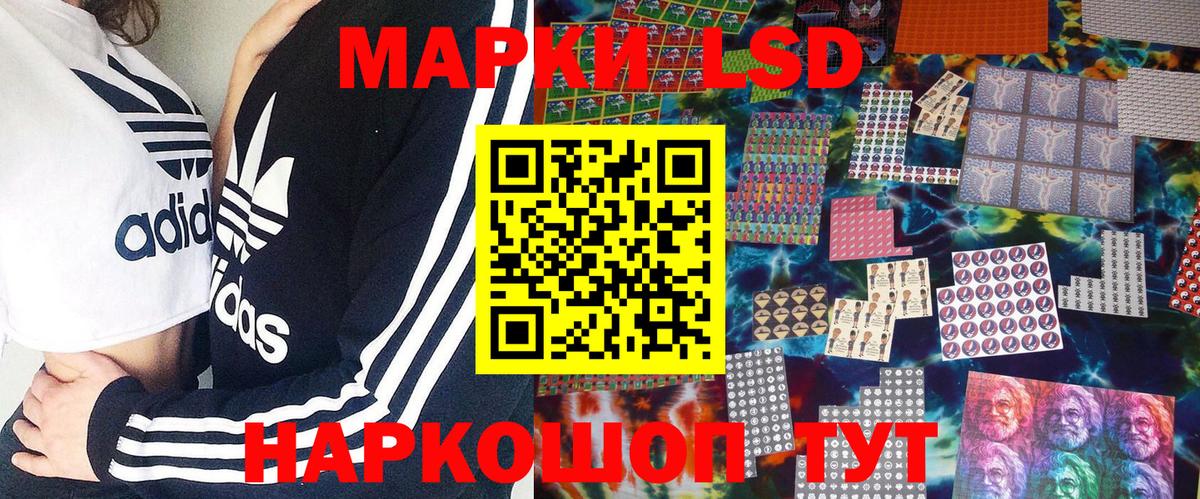 Наркотические марки 1500мкг  Вход с VPN  Наркотические марки 1500мкг  Элиста 