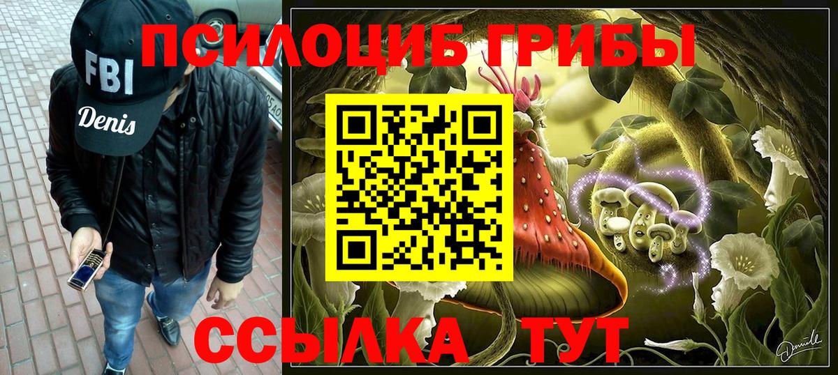 Псилоцибиновые грибы Psilocybe  Псилоцибиновые грибы Magic Shrooms  Элиста  Вход с VPN 