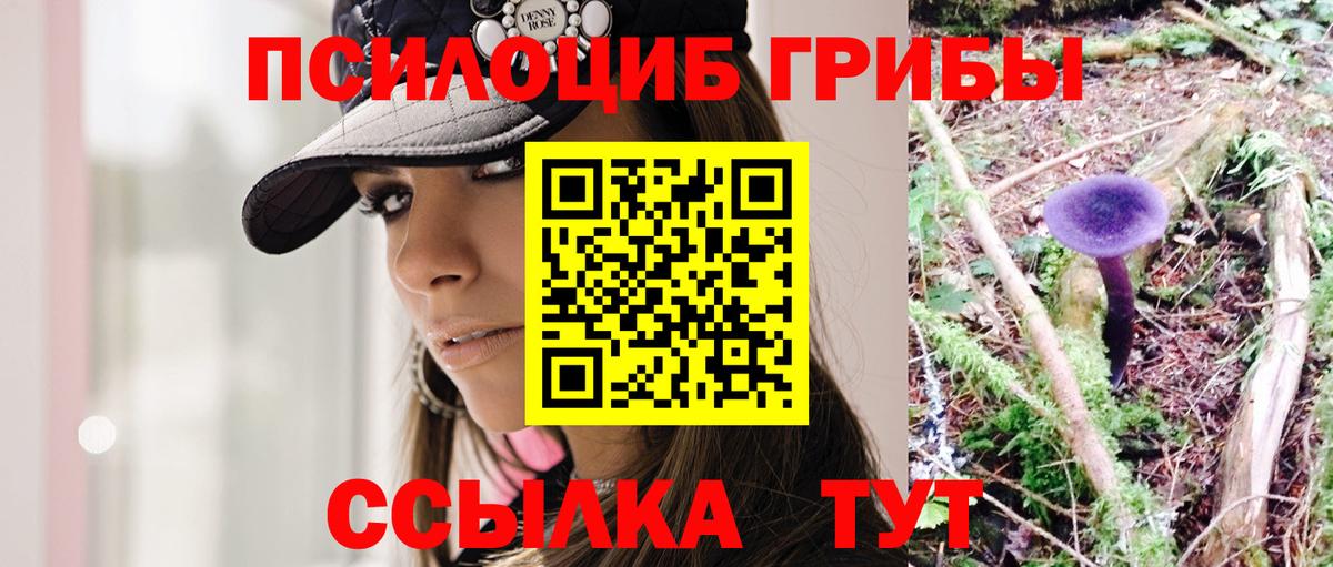 Галлюциногенные грибы ЛСД Элиста